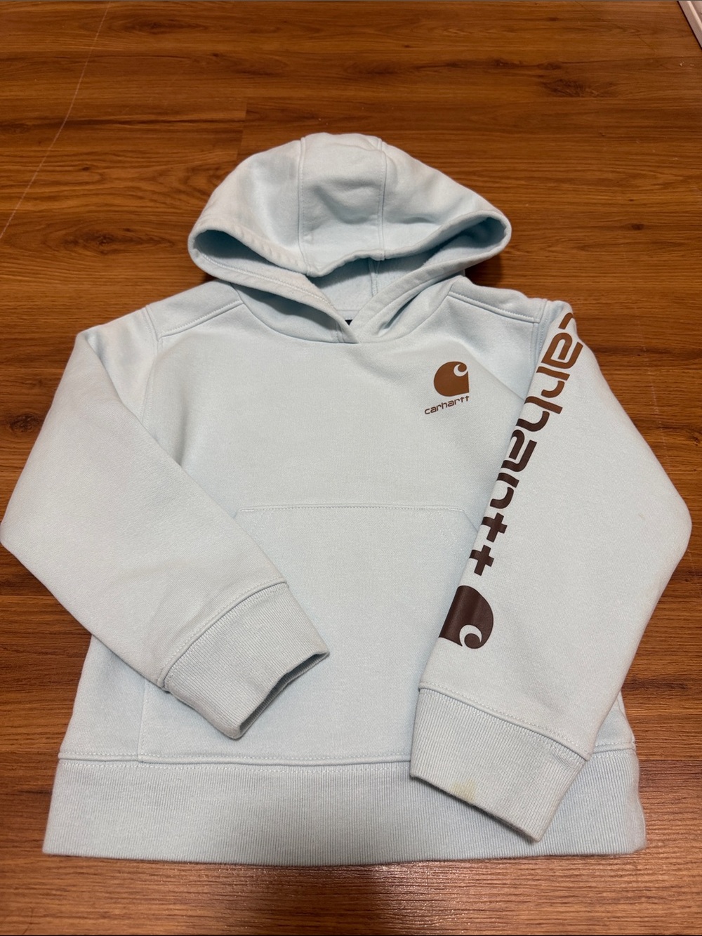Carhartt Pale Blue Hoodie with Brown Logo Sleeve Print